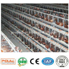 Best Price Battery Chicken Cage Layer Poultry Farm